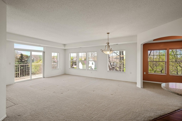 interior space featuring plenty of natural light, a textured ceiling, and light colored carpet