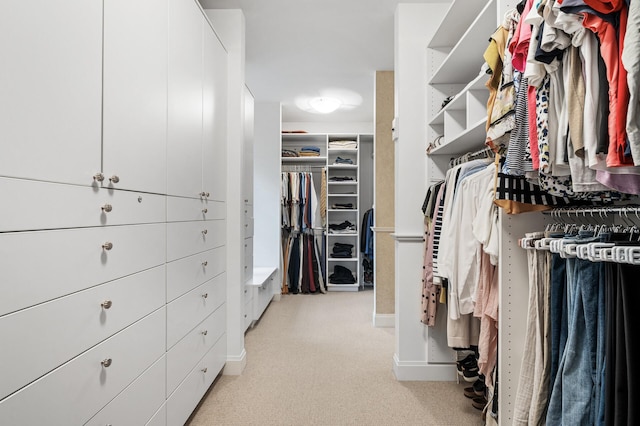 781 Ferndale Rd N, Orono, MN 55391 - spacious closet featuring light carpet