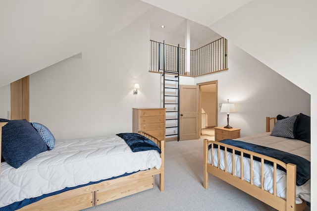 781 Ferndale Rd N, Orono, MN 55391 - bedroom with carpet and a towering ceiling