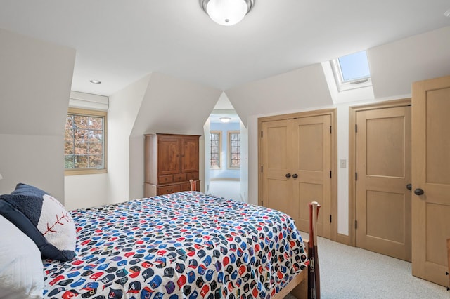 781 Ferndale Rd N, Orono, MN 55391 - bedroom featuring carpet flooring and a skylight