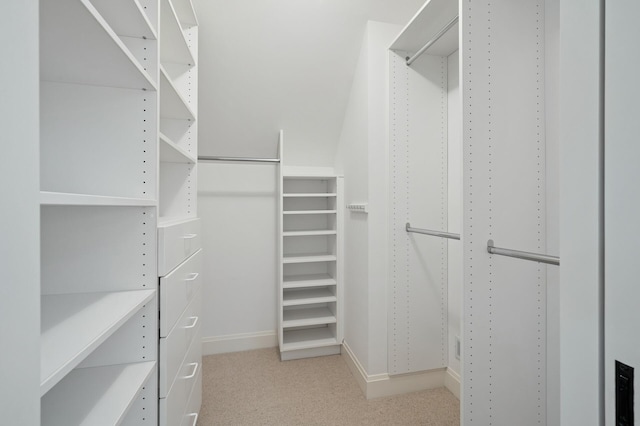 781 Ferndale Rd N, Orono, MN 55391 - spacious closet with light carpet