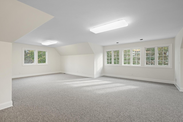 781 Ferndale Rd N, Orono, MN 55391 - additional living space featuring vaulted ceiling, carpet flooring, and baseboards