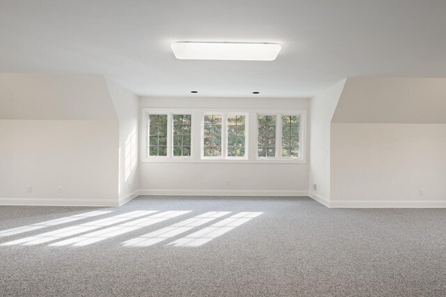 781 Ferndale Rd N, Orono, MN 55391 - additional living space with baseboards and carpet