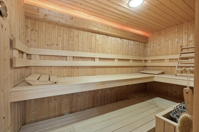781 Ferndale Rd N, Orono, MN 55391 - view of sauna