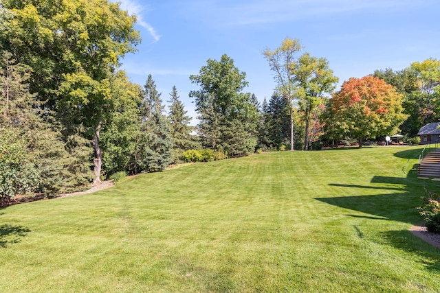 781 Ferndale Rd N, Orono, MN 55391 - view of yard