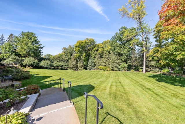 781 Ferndale Rd N, Orono, MN 55391 - view of yard