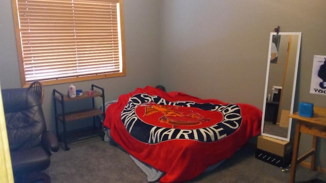 220 35th Ave N, Saint Cloud, MN 56303 - view of carpeted bedroom