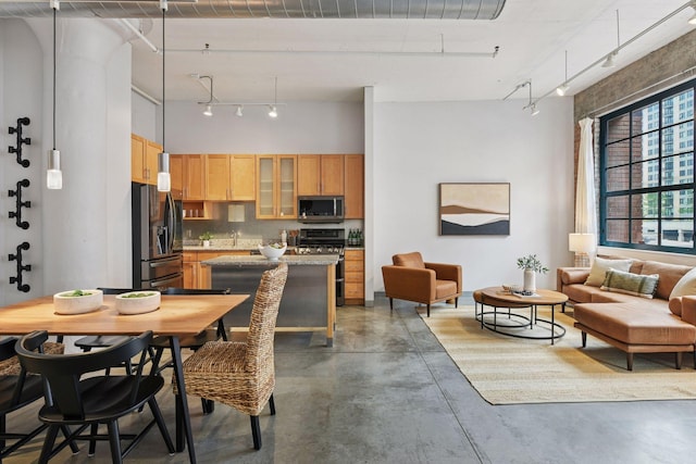 250 Park Ave Unit 606, Minneapolis, MN 55415 - dining room featuring rail lighting, finished concrete flooring, and a towering ceiling