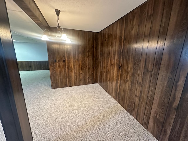 2593 6th St S, Sartell, MN 56377 - hallway with wood walls and carpet floors