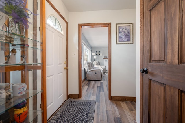 entrance foyer with baseboards and wood finished floors