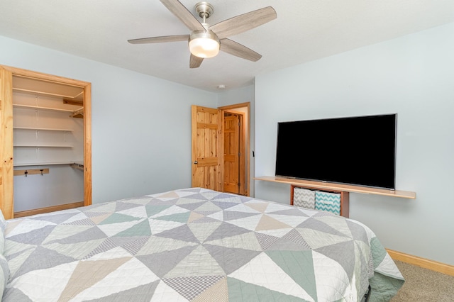 bedroom with baseboards, ceiling fan, a closet, a walk in closet, and carpet flooring