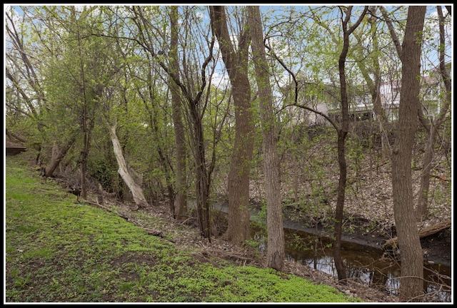 view of nature