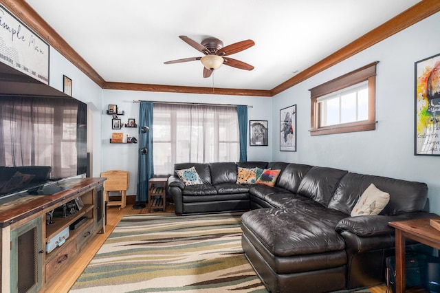 living room featuring plenty of natural light, crown molding, light wood-style floors, and a ceiling fan