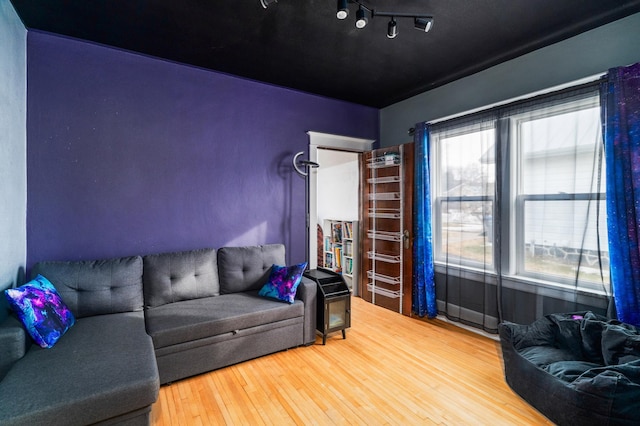 living room featuring hardwood / wood-style floors and a healthy amount of sunlight