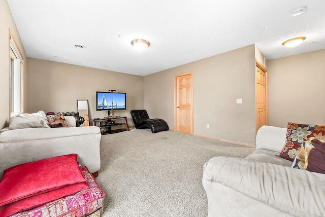 living room featuring a textured ceiling and carpet flooring