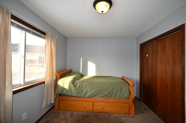 bedroom with a closet, carpet flooring, and multiple windows