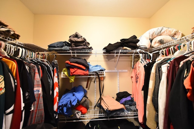 view of walk in closet