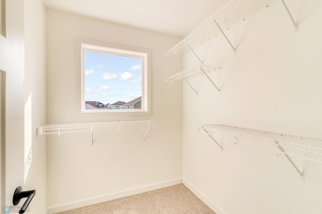 spacious closet featuring light colored carpet