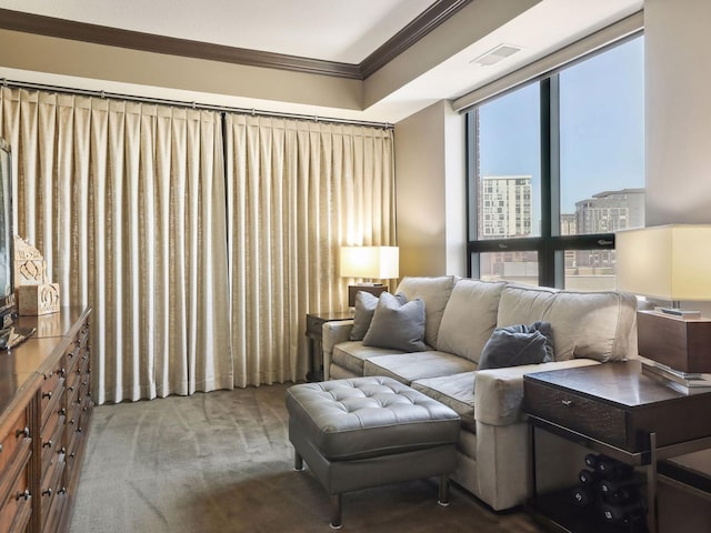 carpeted living area with visible vents, a view of city, and ornamental molding