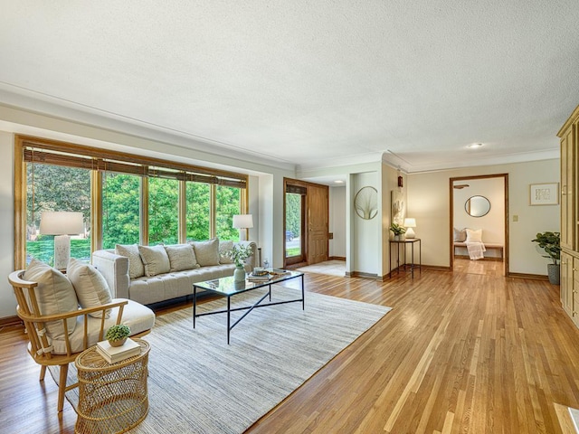 5109 Richmond Dr, Edina, MN 55436 - living room with a textured ceiling, ornamental molding, light wood-type flooring, and baseboards