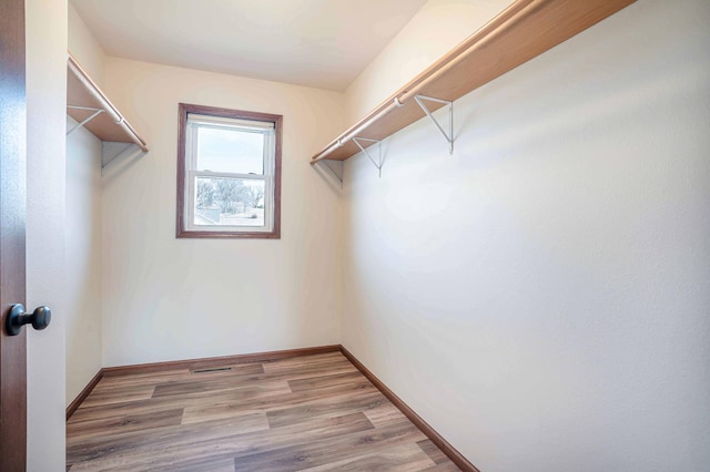 spacious closet featuring light wood-style floors