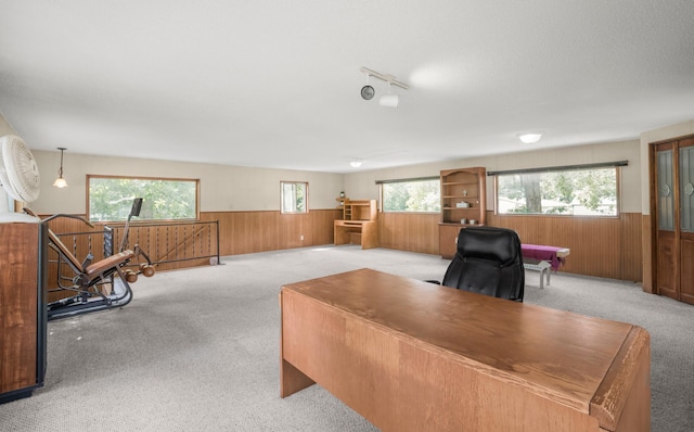 office area with wooden walls, carpet flooring, and wainscoting