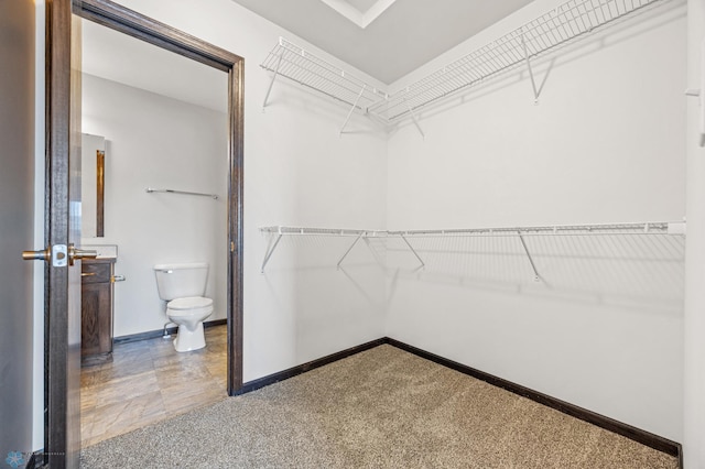 spacious closet with carpet floors