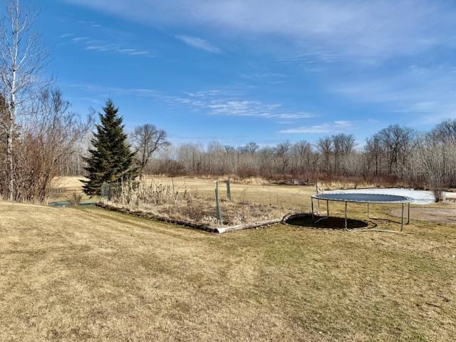 view of yard featuring a trampoline