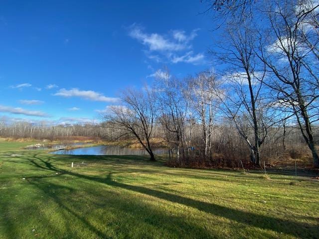 view of yard featuring a water view