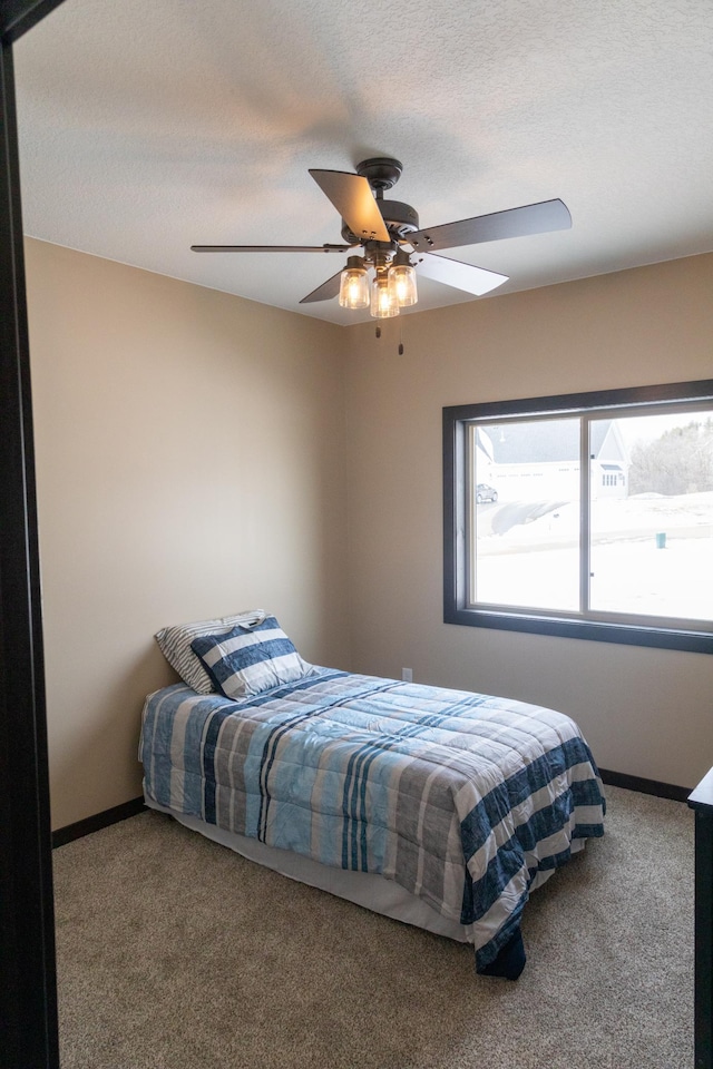 912 Mount Lookout Heights Dr, Glenwood, MN 56334 - photo 68