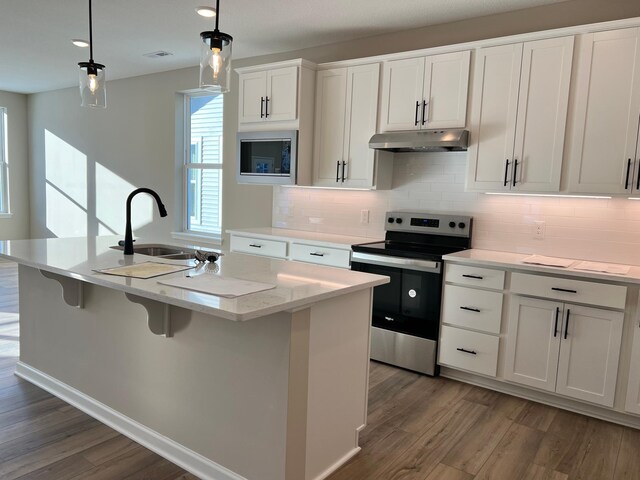 kitchen featuring a sink, under cabinet range hood, appliances with stainless steel finishes, wood finished floors, and a kitchen island with sink