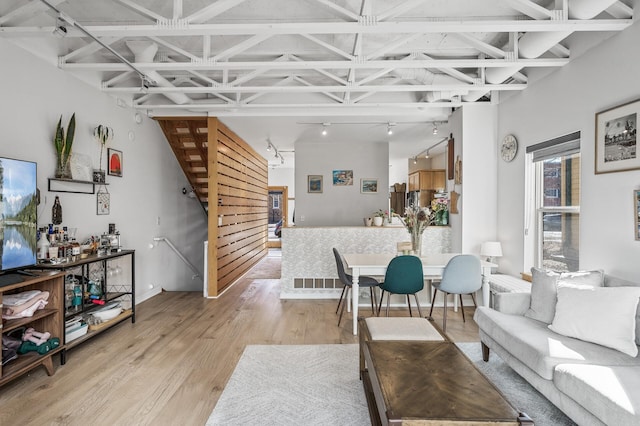 living room with light wood-style flooring and track lighting