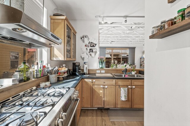 kitchen featuring stainless steel range with gas stovetop, extractor fan, a sink, a wealth of natural light, and wood finished floors