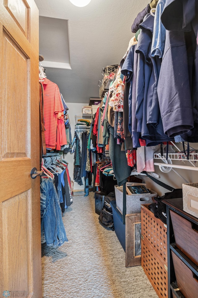 walk in closet with carpet floors