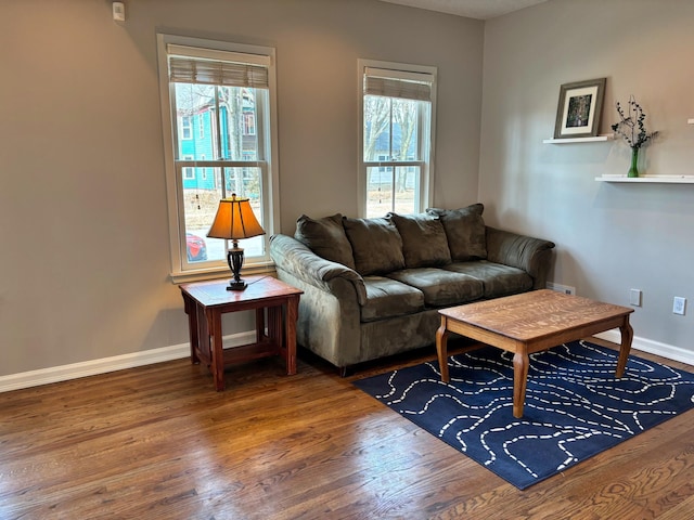 living room featuring a wealth of natural light, baseboards, and wood finished floors