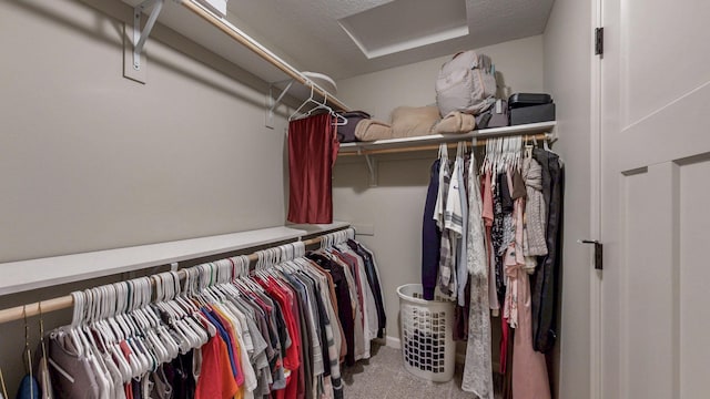 spacious closet featuring carpet flooring and attic access