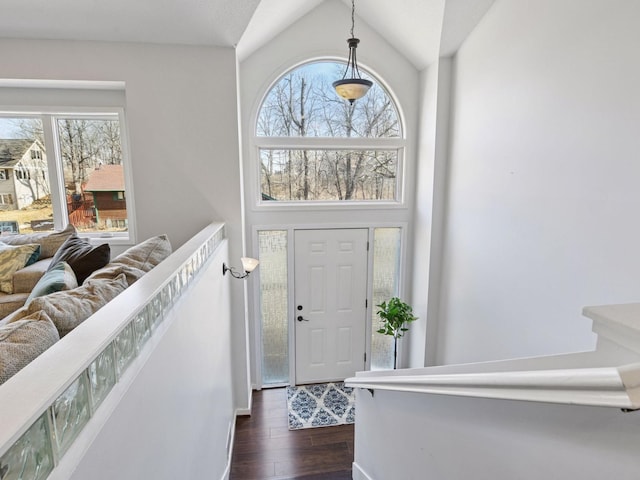 3011 Inverness Ln, Mound, MN 55364 - entrance foyer featuring dark wood-style flooring and vaulted ceiling