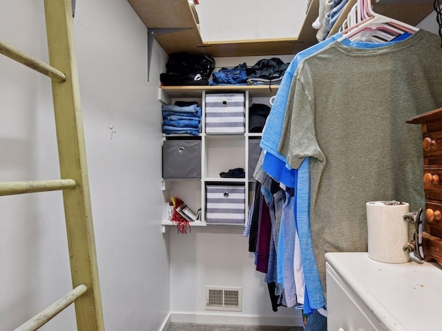 3011 Inverness Ln, Mound, MN 55364 - view of walk in closet