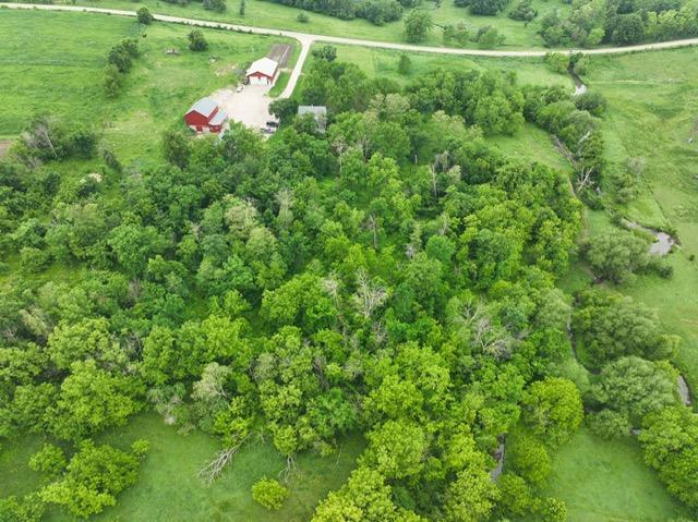 13824 371st Ave, Canton Twp, MN 55922 - photo 9