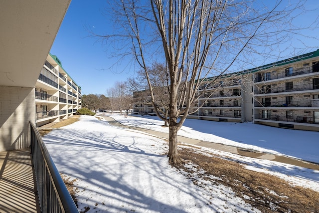 view of snowy yard