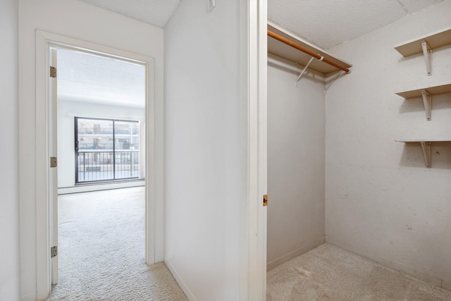 walk in closet with carpet floors