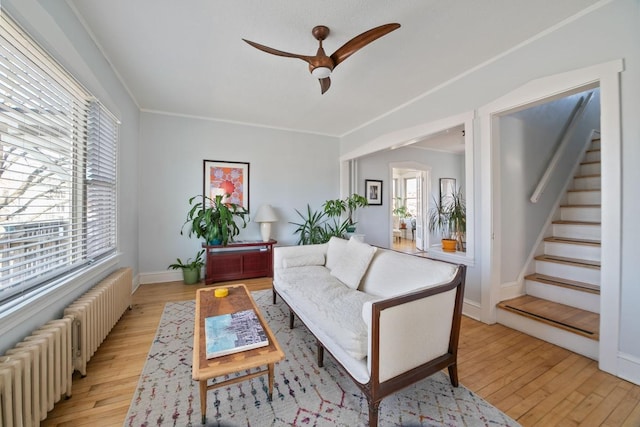 living room featuring a wealth of natural light, radiator, and light wood-type flooring