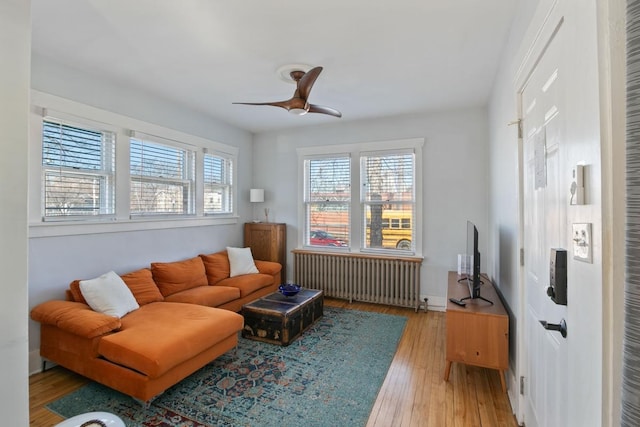 living room featuring light wood-type flooring, a ceiling fan, and radiator heating unit