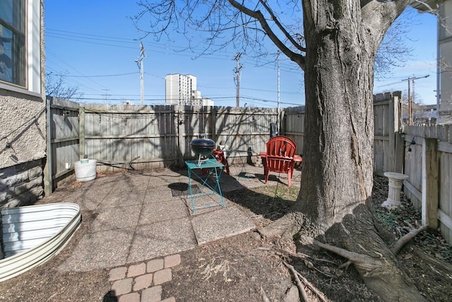 view of yard featuring a fenced backyard and a patio