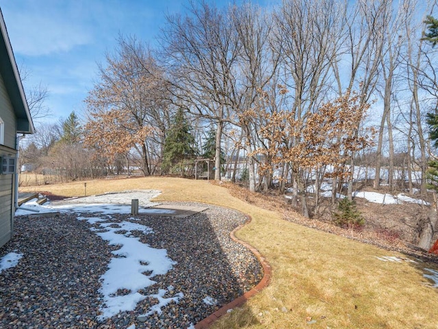 view of yard covered in snow