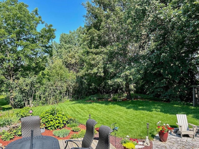 view of yard featuring a patio