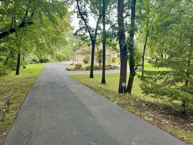 view of street featuring driveway