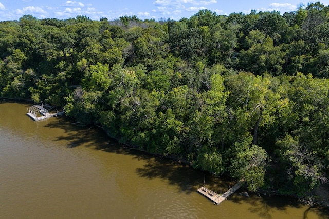 aerial view featuring a view of trees and a water view