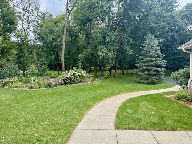 view of community featuring a lawn