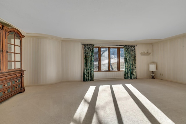 empty room featuring carpet floors